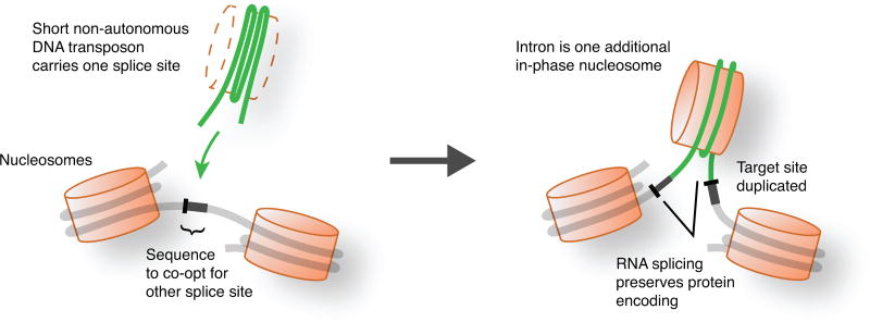 Extended Data Figure 5