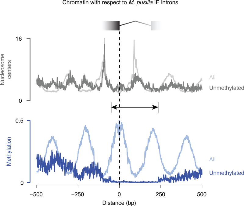 Extended Data Figure 1