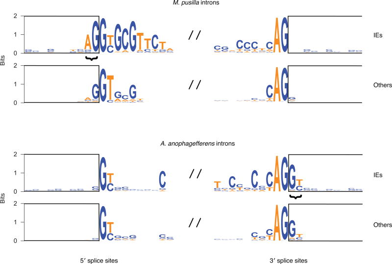 Extended Data Figure 7