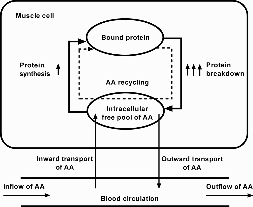 Fig. 3