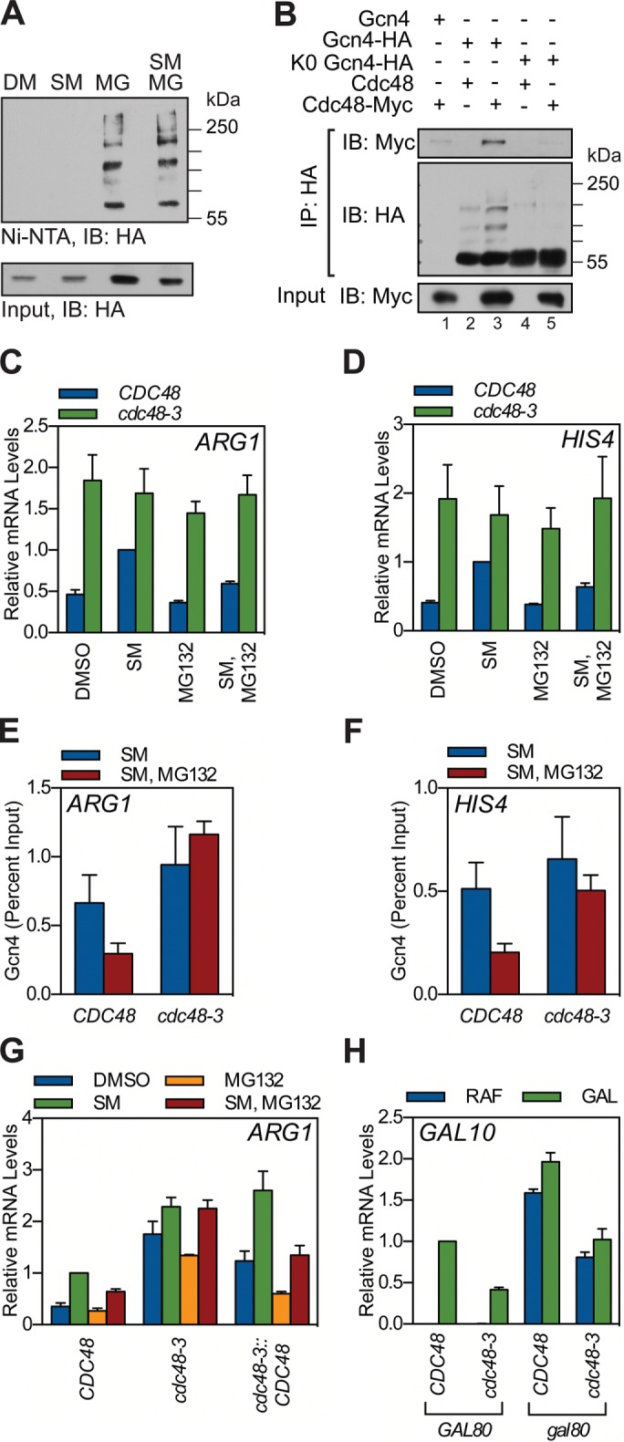 FIGURE 4: