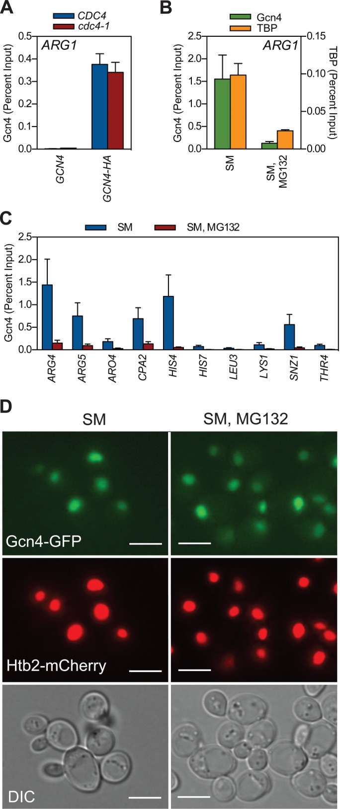 FIGURE 2: