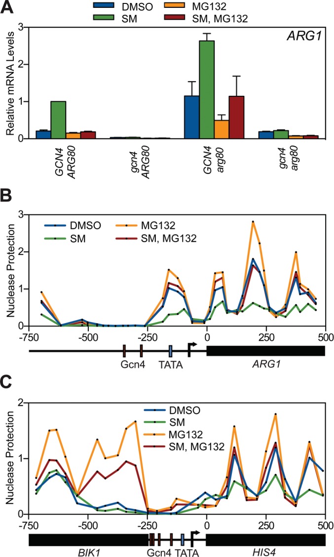 FIGURE 3: