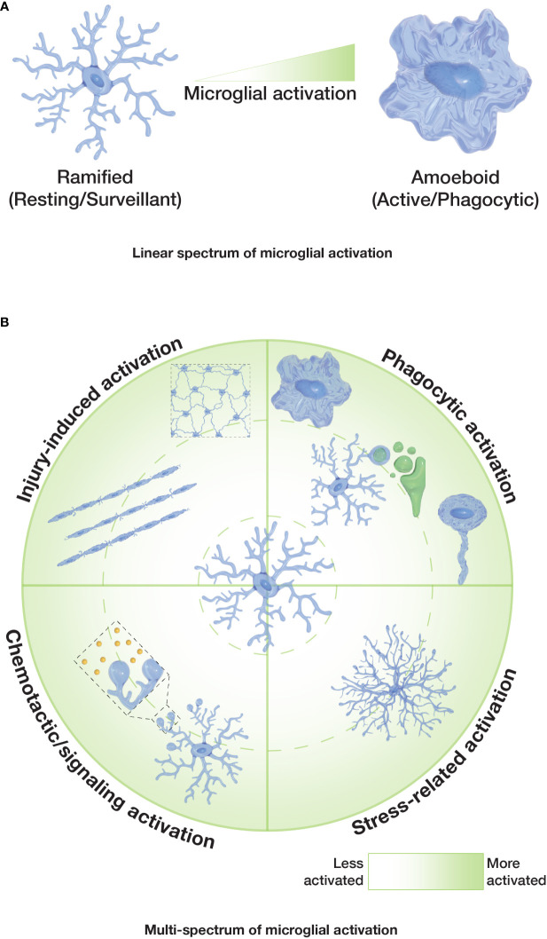 Figure 2