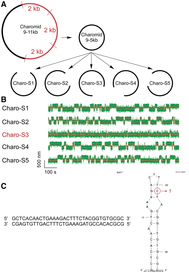 Figure 2.