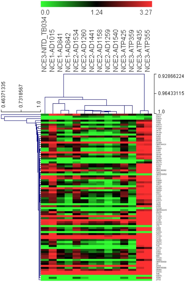 Figure 6