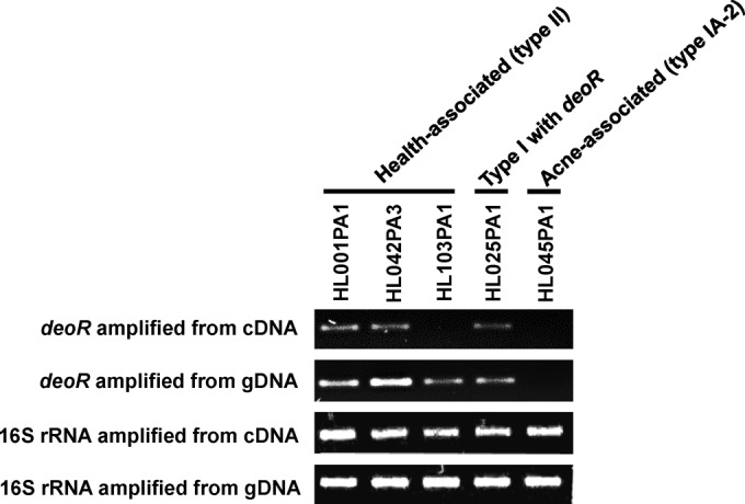 FIG 6 