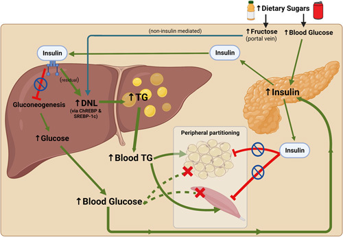 FIGURE 3