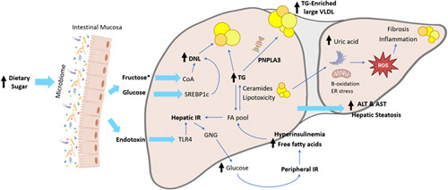 FIGURE 2