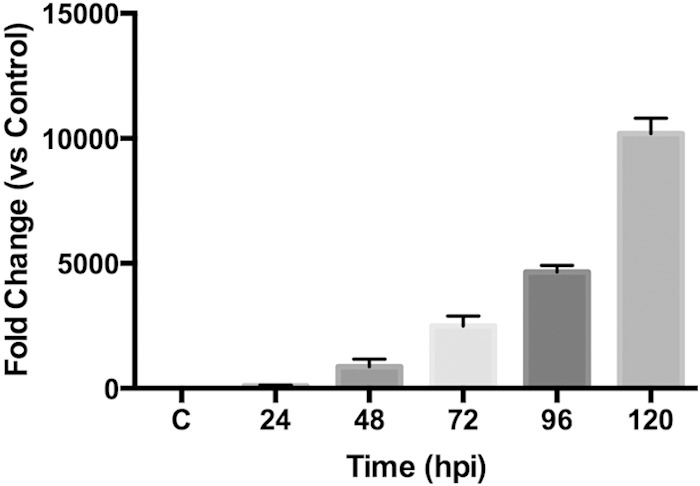 FIG 2