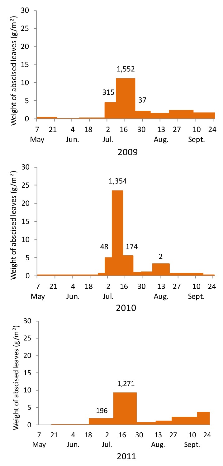 Figure 5