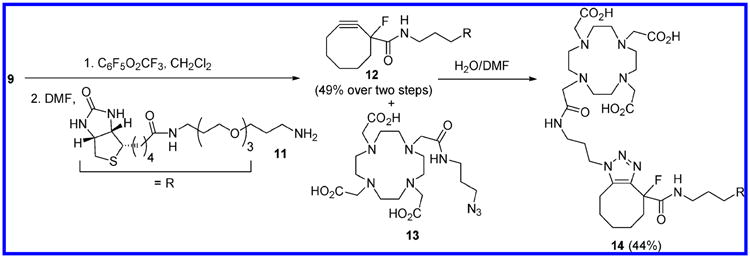 Scheme 2