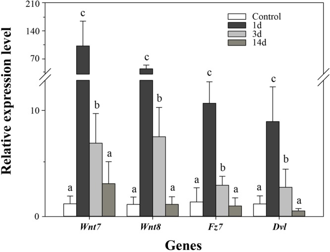 FIGURE 6