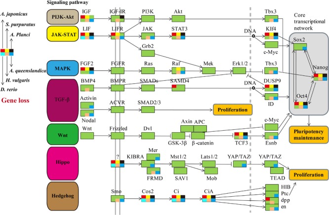 FIGURE 2