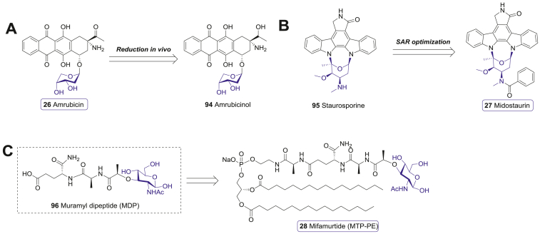 Figure 13