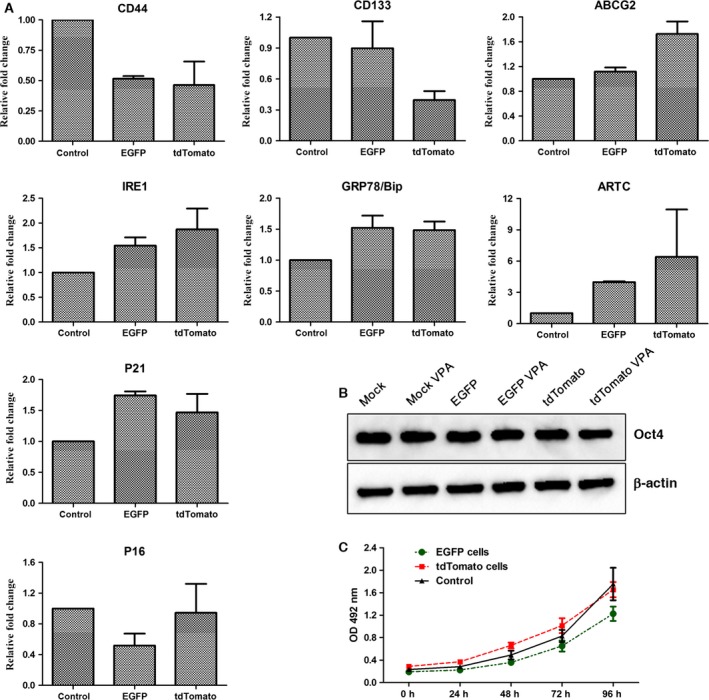 Figure 12