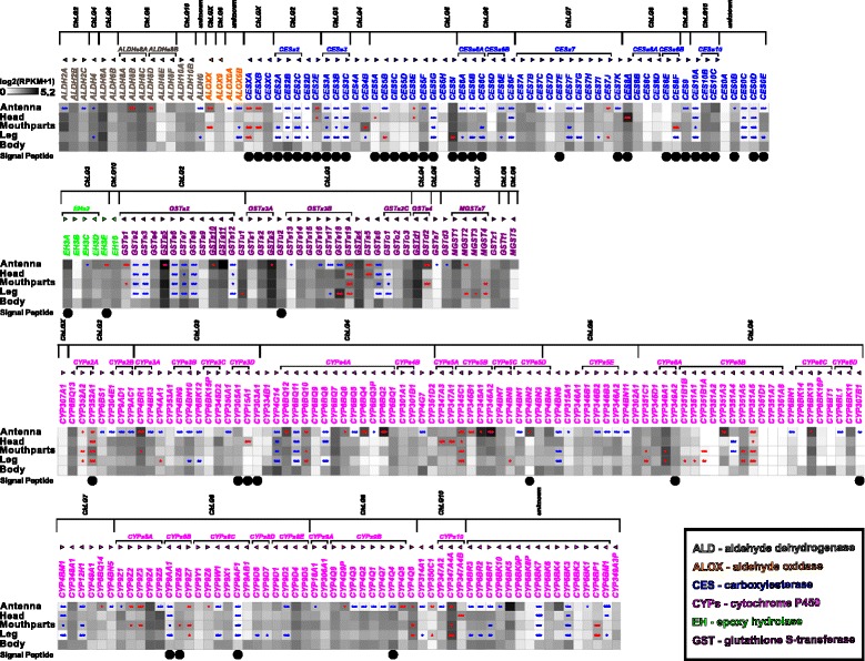 Fig. 13