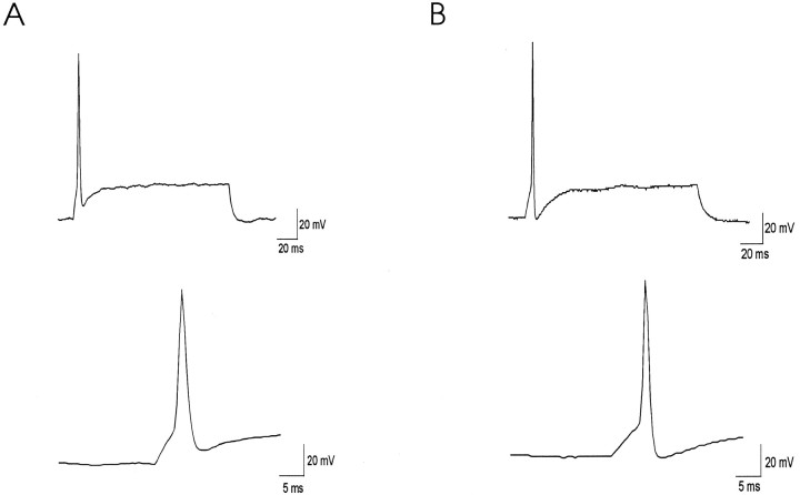 Fig. 10.