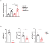 Figure 3—figure supplement 1.