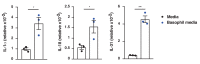 Figure 5—figure supplement 2.