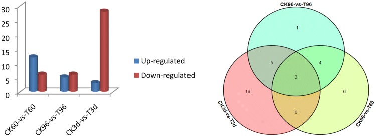 Fig. 7