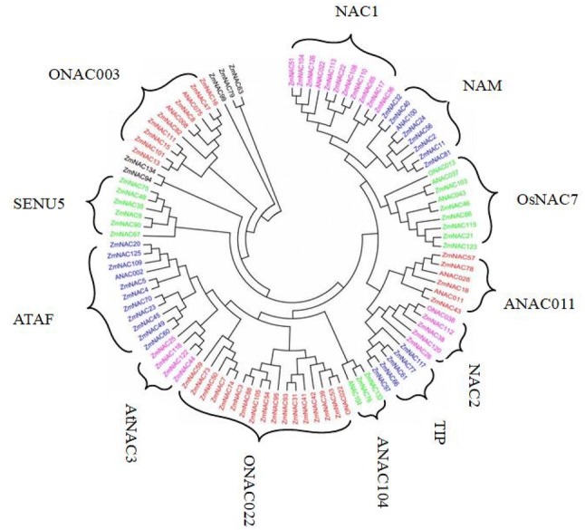 Fig. 3