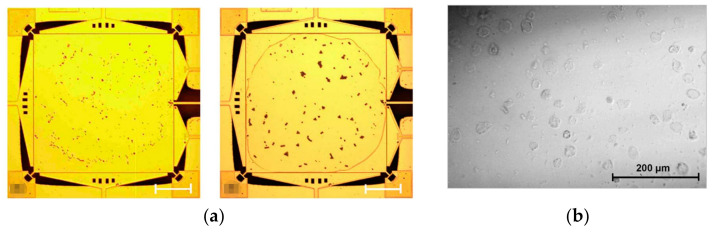 Figure 26