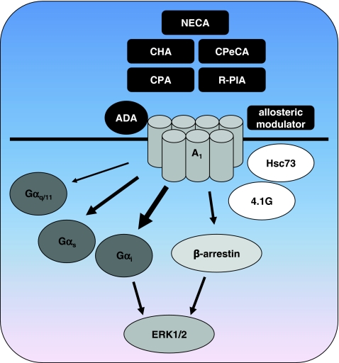 Fig. 2