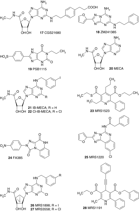 Fig. 1