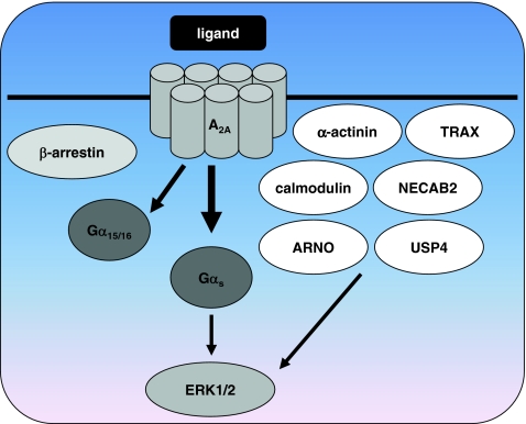 Fig. 3