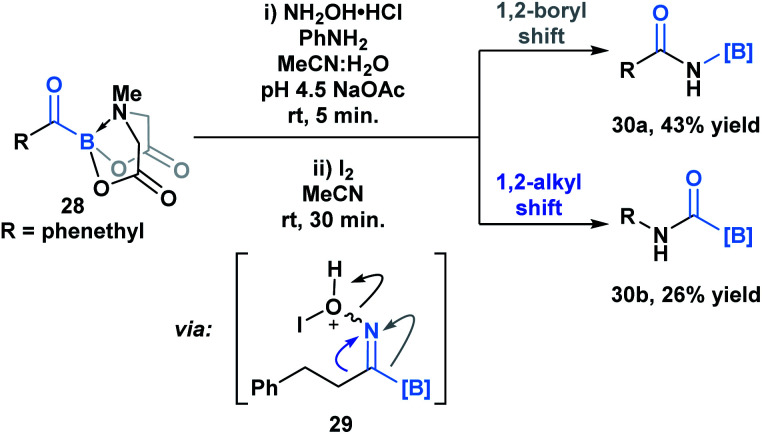 Scheme 8