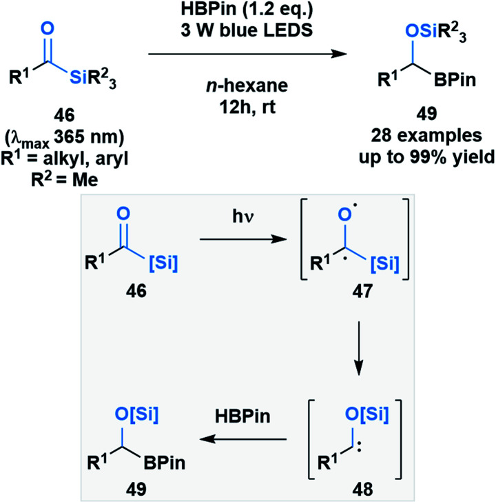 Scheme 13