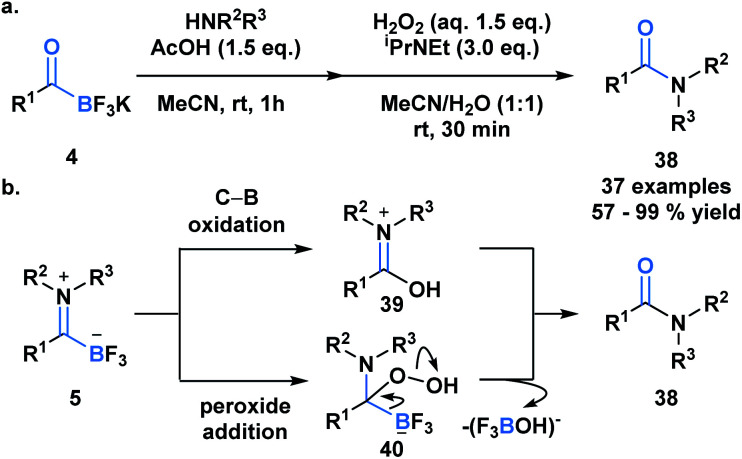 Scheme 11