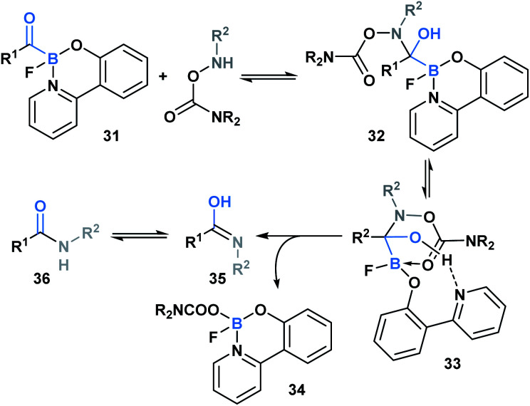 Scheme 9