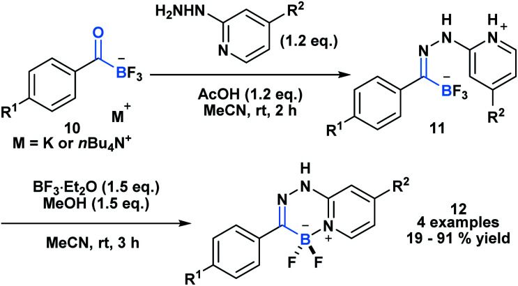 Scheme 3