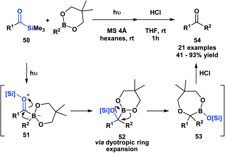 Scheme 14