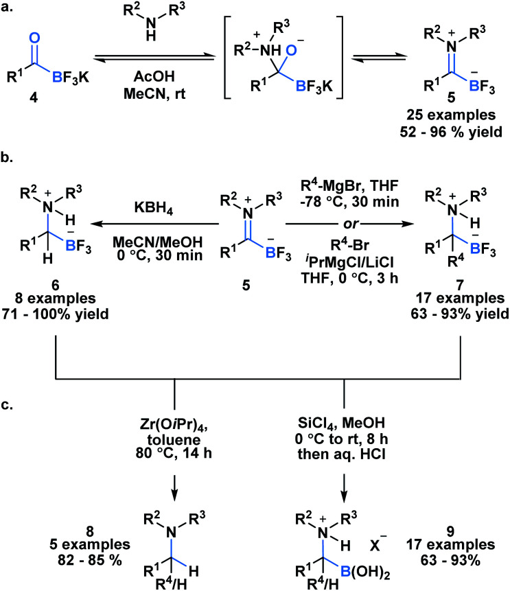 Scheme 2