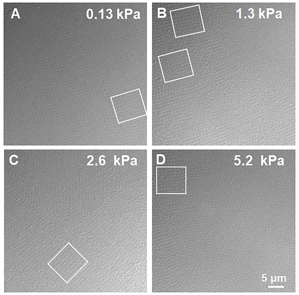 Figure 5.