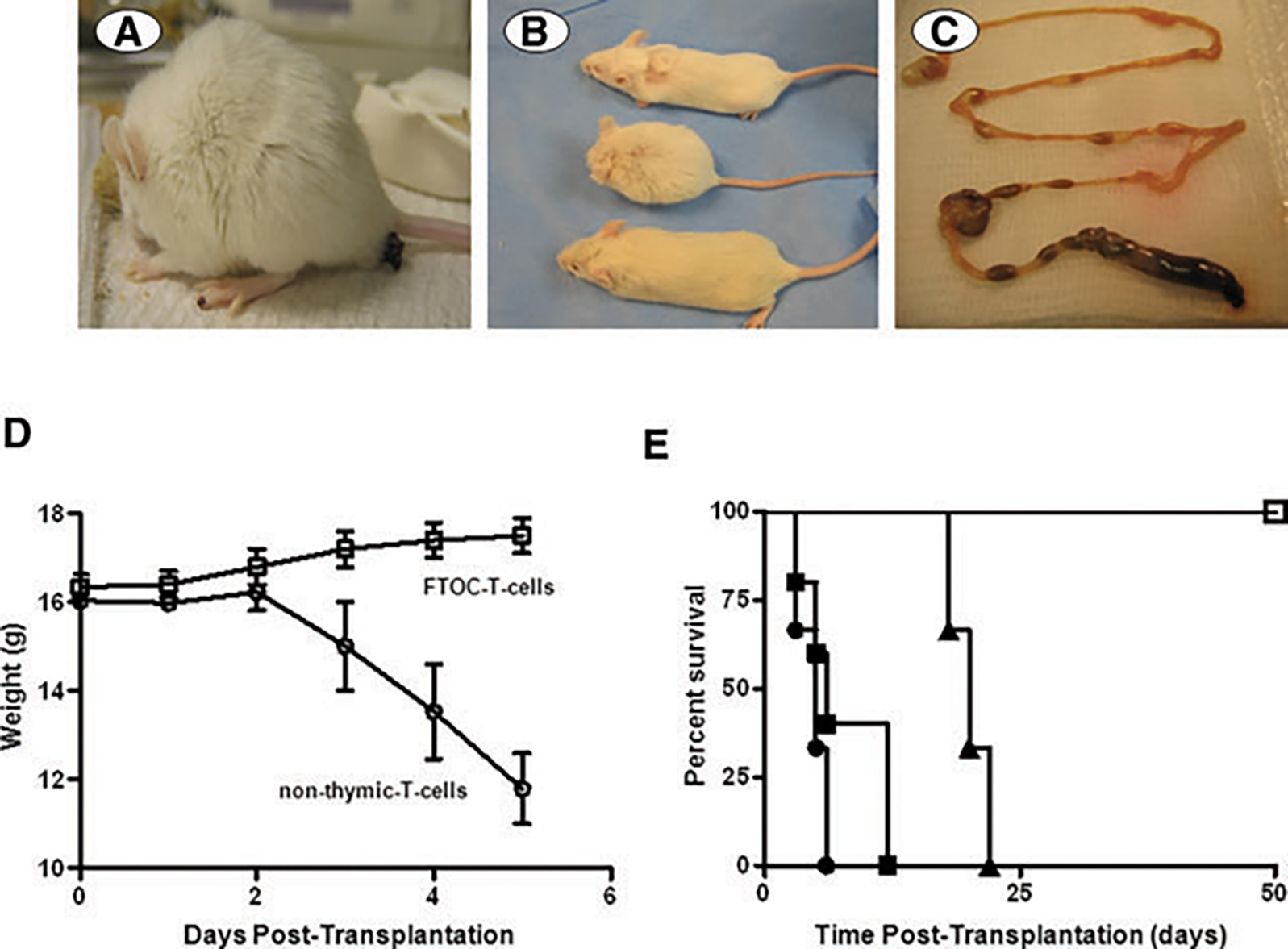 Figure 4: