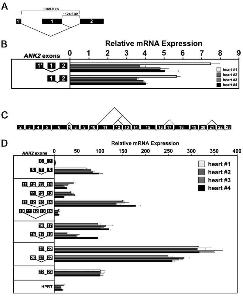 Fig.3