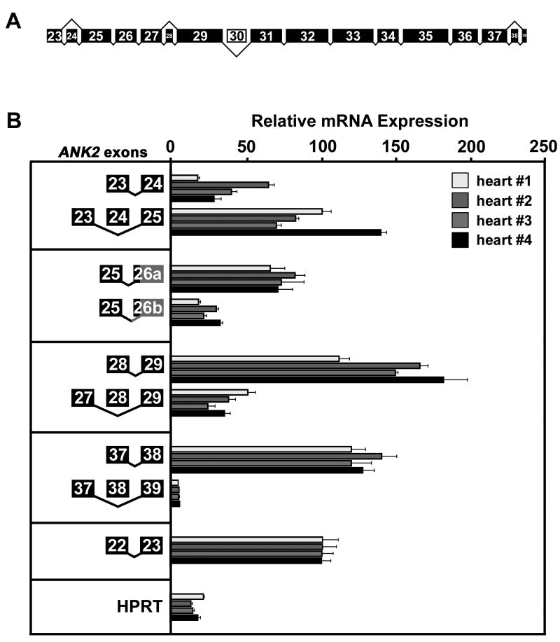 Fig.4