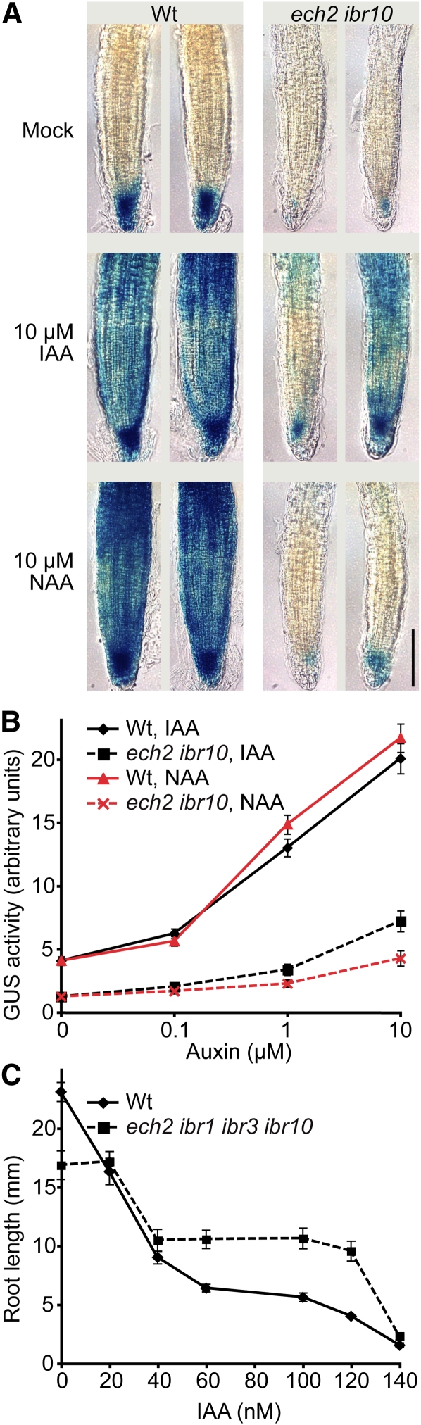 Figure 7.