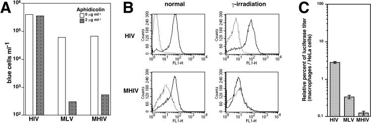 FIG. 3.