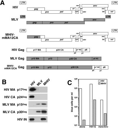 FIG. 1.