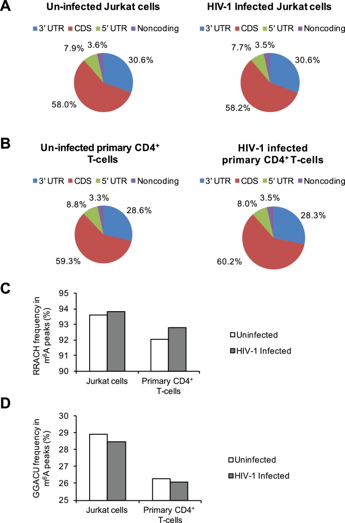 Figure 1—figure supplement 3.