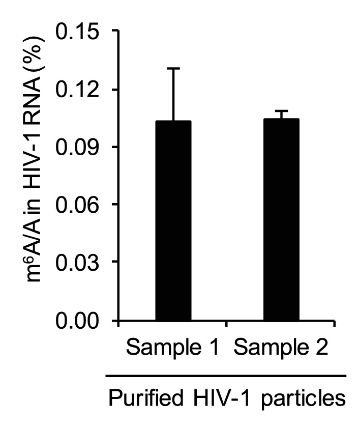 Figure 1—figure supplement 2.