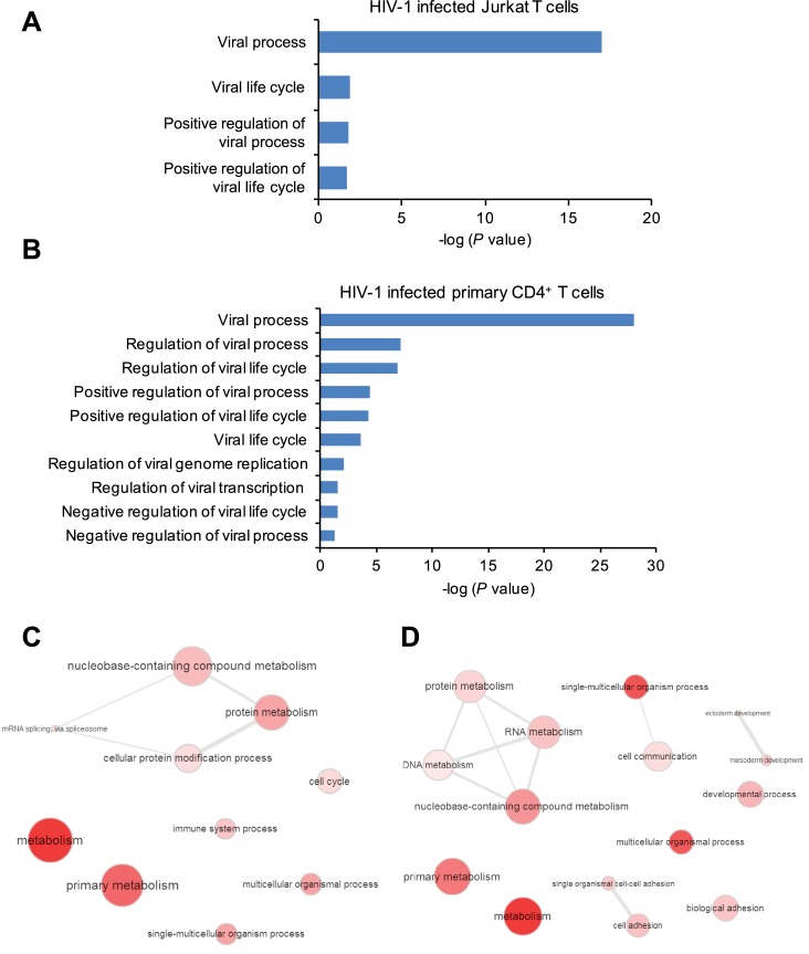 Figure 1—figure supplement 4.