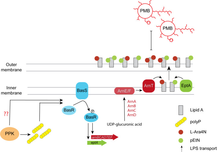 Figure 6 –