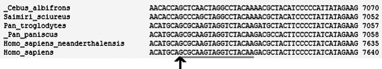 FIG. 6.