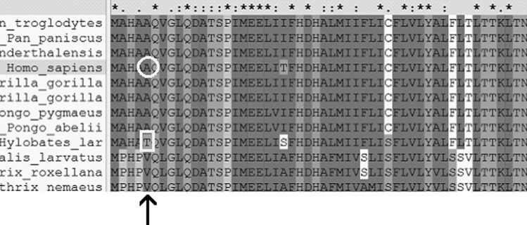 FIG. 7.